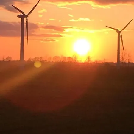 Gartenidyll Insel Ruegen Poppelvitz Bei