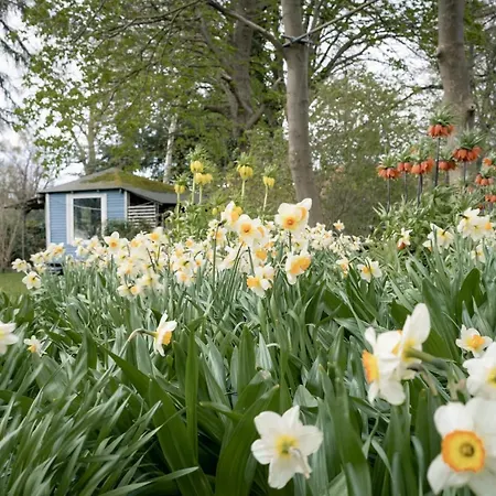 アパート Gartenidyll Insel Ruegen Poppelvitz Bei *