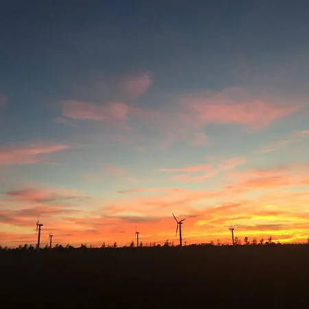 Gartenidyll Insel Ruegen Poppelvitz Bei Appartement Altefähr